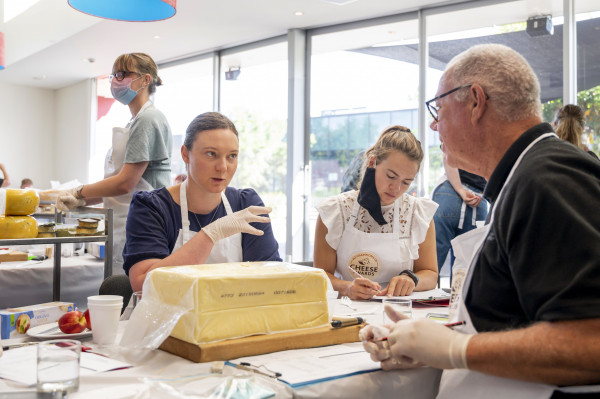 NZ Champions of Cheese judging