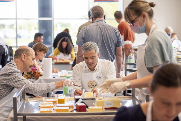 NZ Champions of Cheese judging