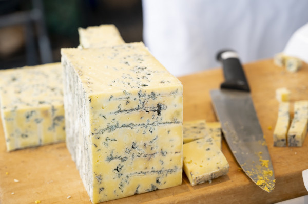 NZ Champions of Cheese judging