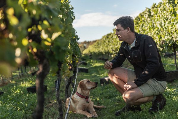 Vavasour Winemaker Stu Marfell 