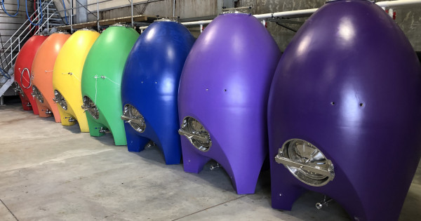 Mt Difficulty fermentation eggs