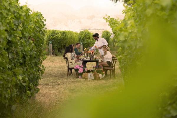 The ned campaign still