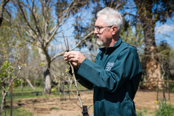 Trevor FitzJohn Teepee cider