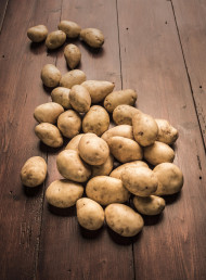 Rangeview Jersey Bennes ready for a stunner of a summer…