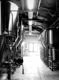 Two Thumb Take Their Craft to the Next Level