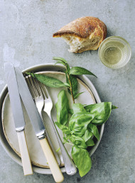 Chicken 001 extended