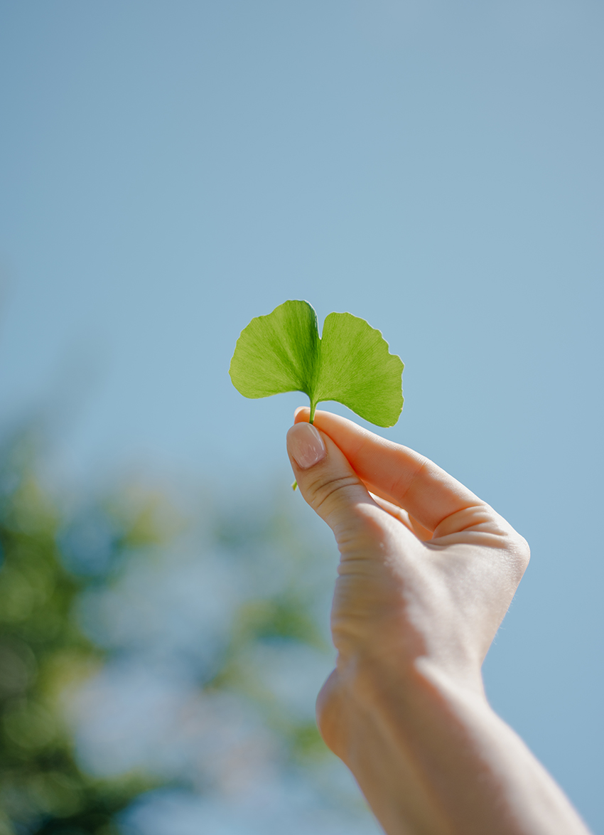 Thompson's Bring World Herb Day to New Zealand and Australia