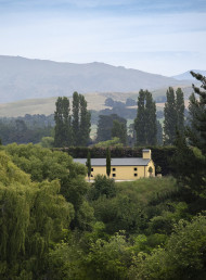 Vineyard Victory: Dancing Water’s Global Triumph