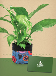 Be in to Win a $200 Kings Plant Barn Stonefields Voucher