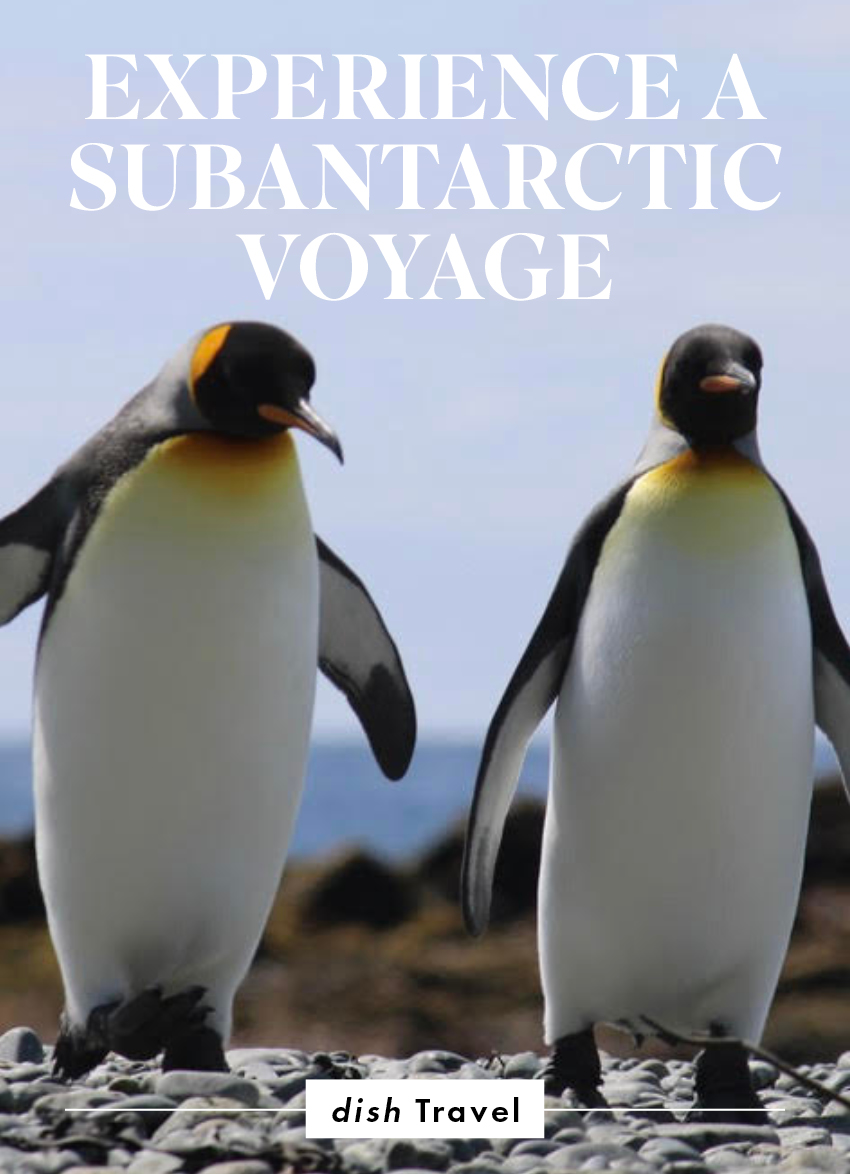 subantarctic voyage