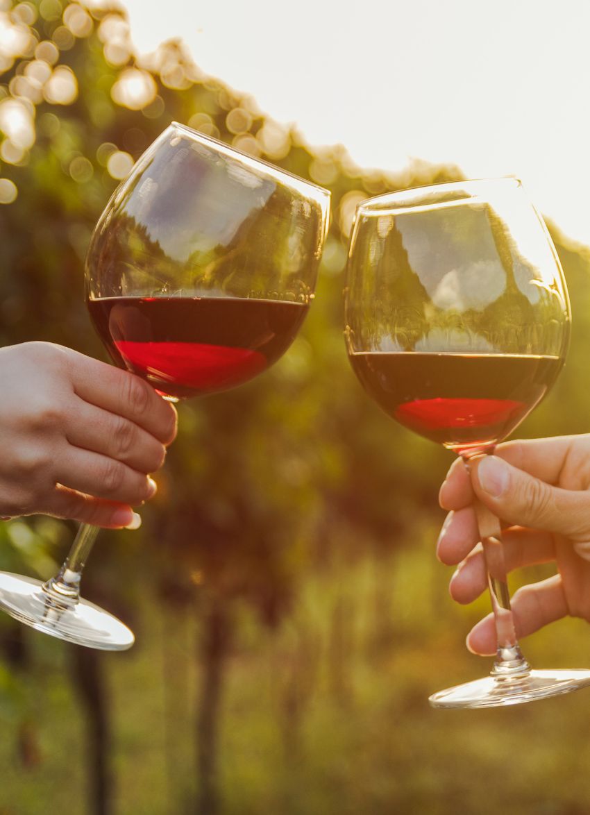 The Best Pinot Noir's in New Zealand 2023