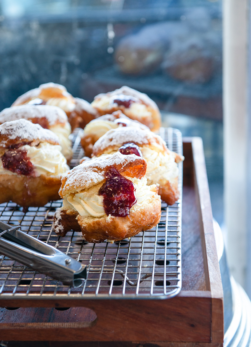 Discover Blue Rose, Sandringham Auckland