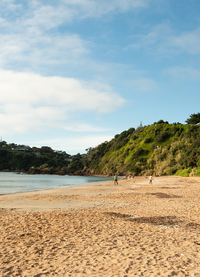 Best Places to Explore on Waiheke Island