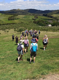 Waiheke Walking Festival Returns with Exclusive Olive Grove Trail 