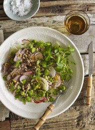 Farro, Broad Bean and Lamb Salad