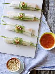 Ginger and Coconut Chicken Spring Rolls