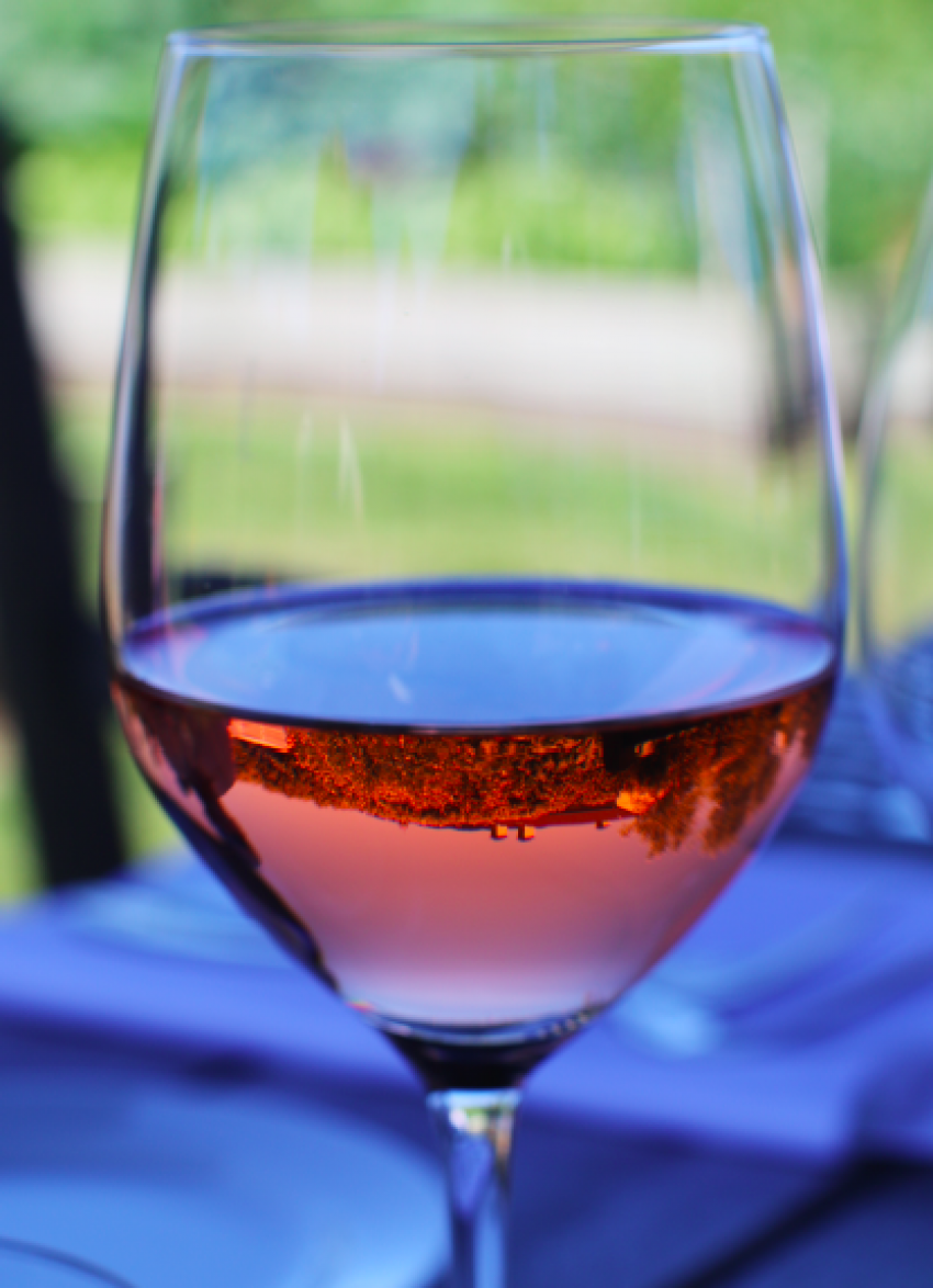 Gold Medallists Announced in Air New Zealand Wine Awards