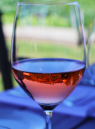 Gold Medallists Announced in Air New Zealand Wine Awards