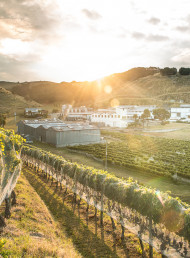 Esk Valley: Crafting a winning chardonnay