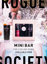 Rogue Society: master the mini bar