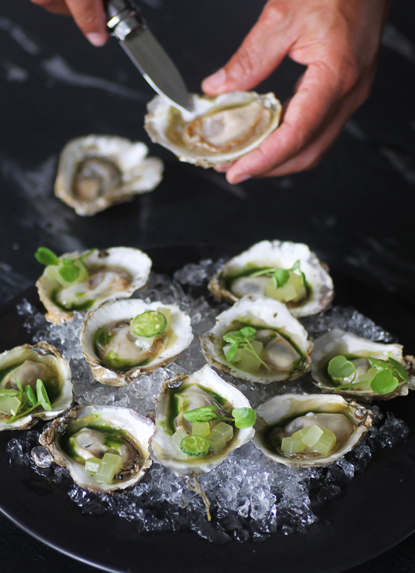 Gareth Stewart: The great Bluff expedition