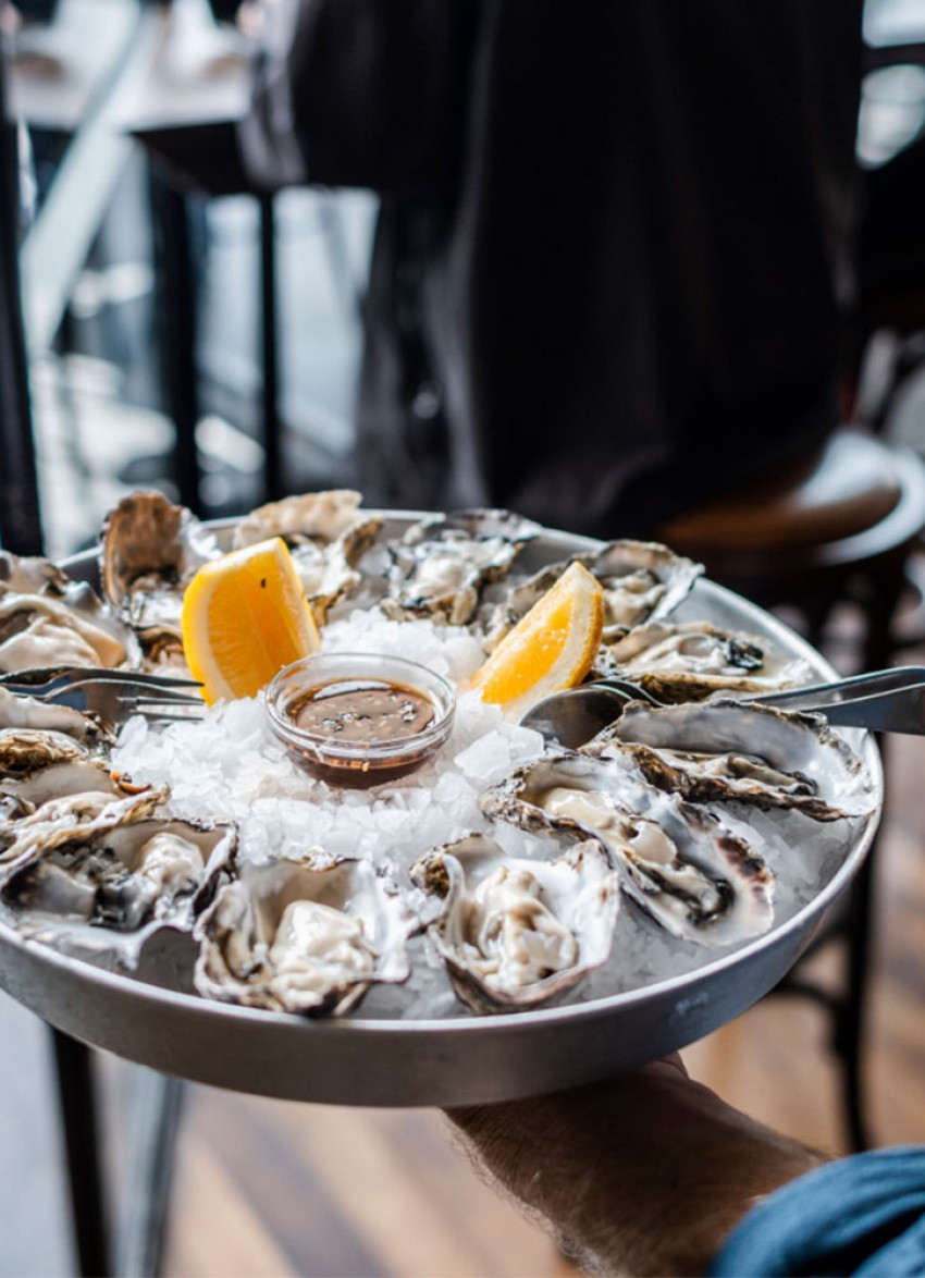 Taste of Auckland: Everything you need to know