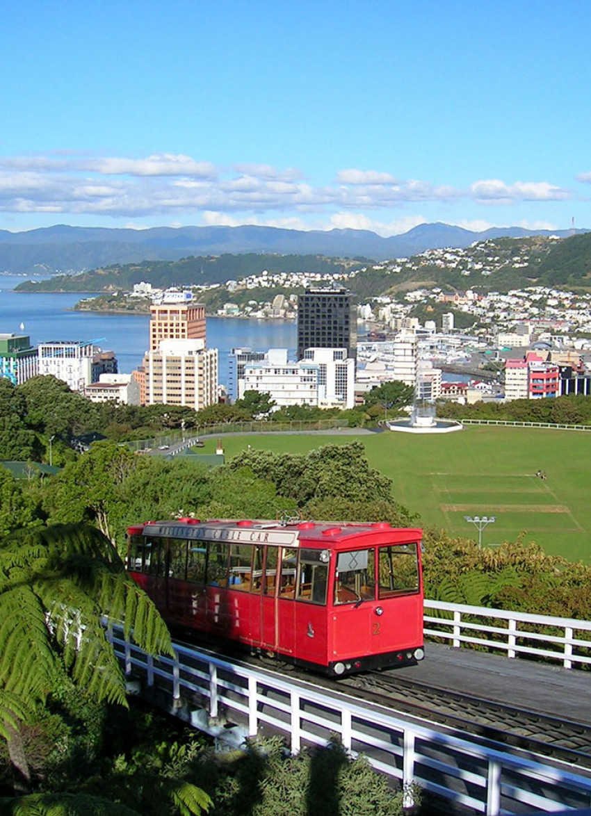 Wellington on a good day