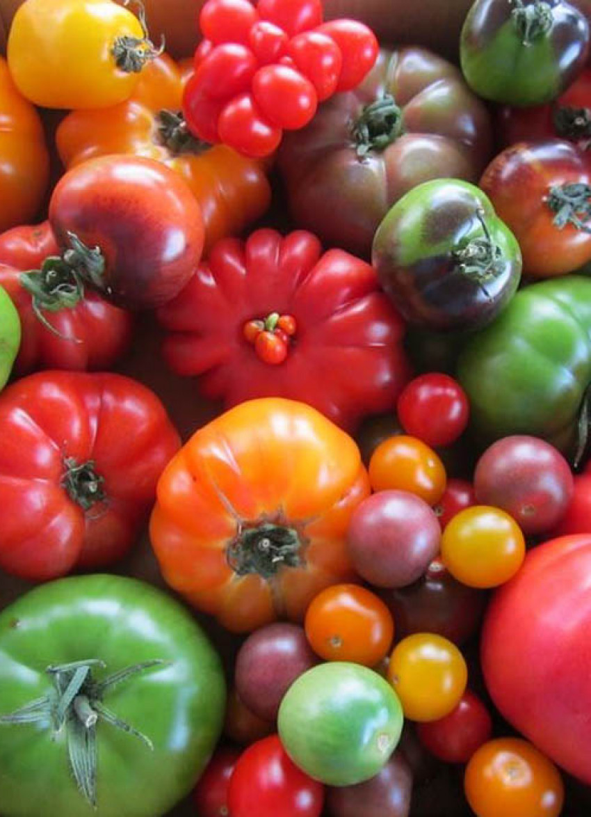 Summer eating ideas: stocked for summer