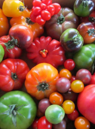 Summer eating ideas: stocked for summer