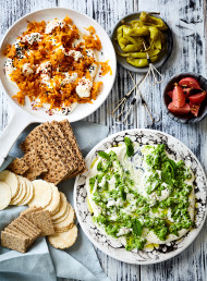 Tzatziki Platter with Pickled Radishes