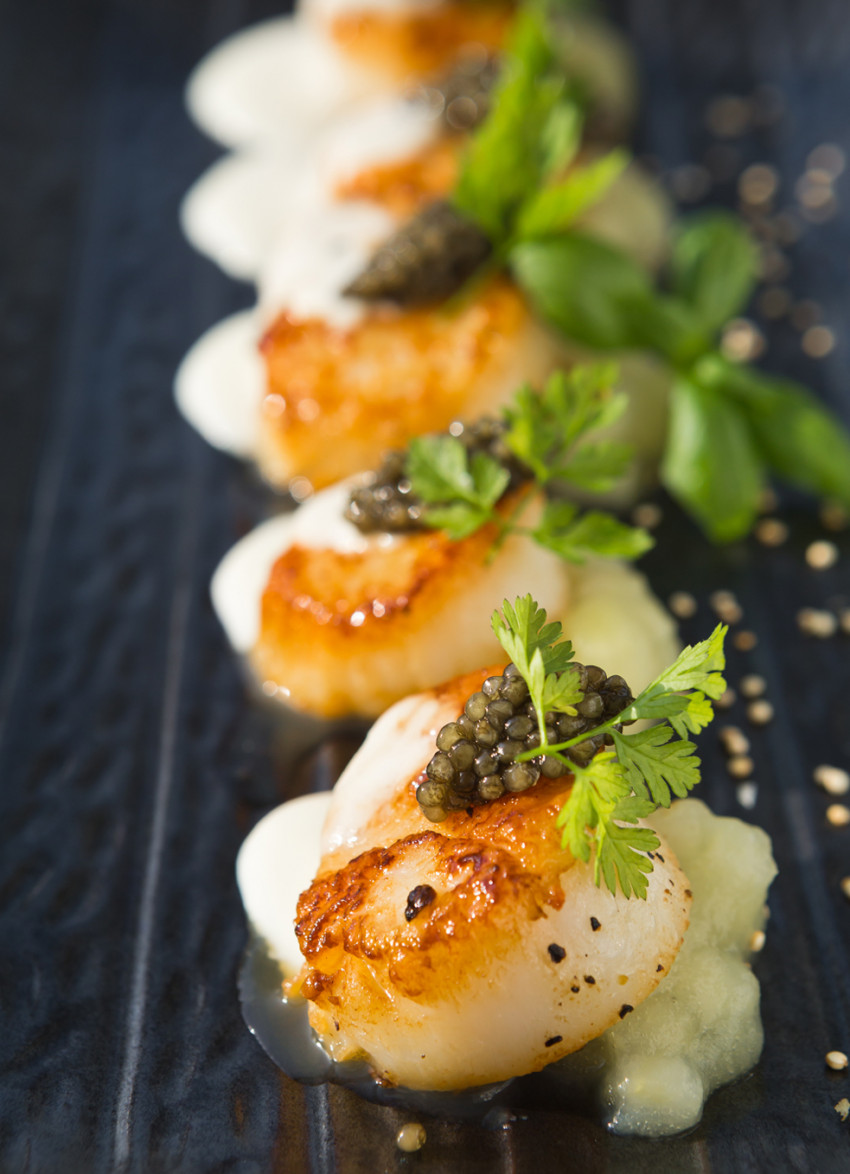 Whitianga Scallop Festival