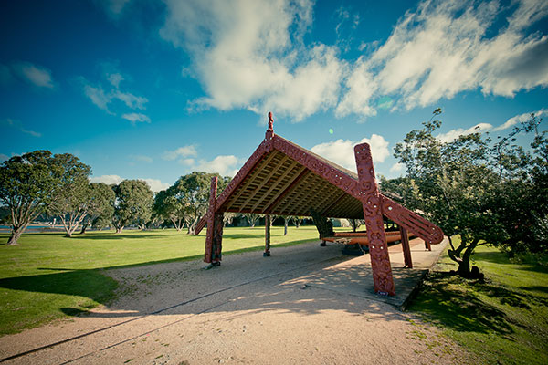 treaty of waitangi treaty grounds