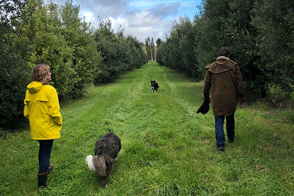 walking in wallington